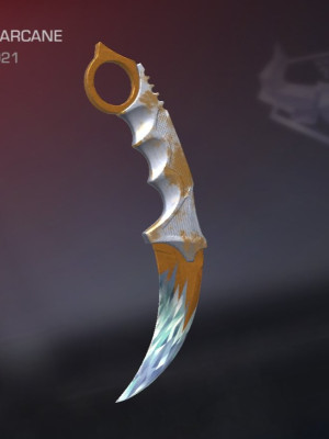 🔴ARCANE🔴 💎Karambit "Frozen"💎 могу голдой 💸