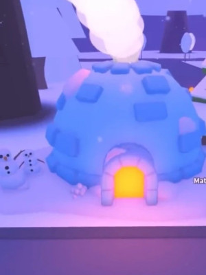 Igloo home