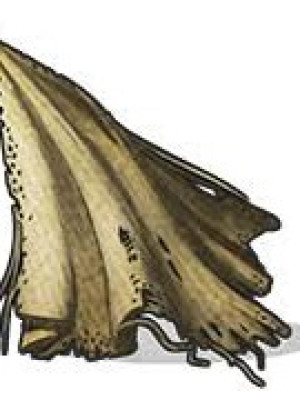 фарм ящика ткани