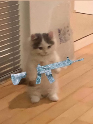 Сопровод на 7 карту вынос 5-7кк фулл шмот ваш