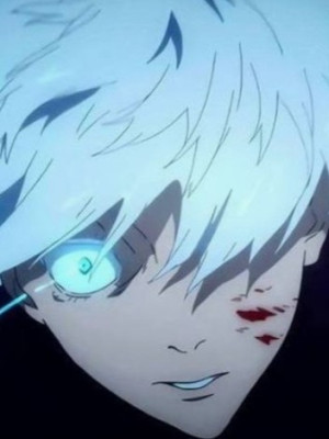 Продам ак на котором играл 3 года с 2660+лвлом все мечи фрукт портала по фуллу и 10к+- фрагов