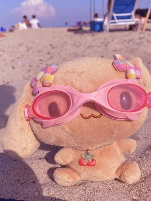 построю преппи дом