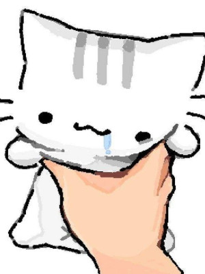 Прокачка петов