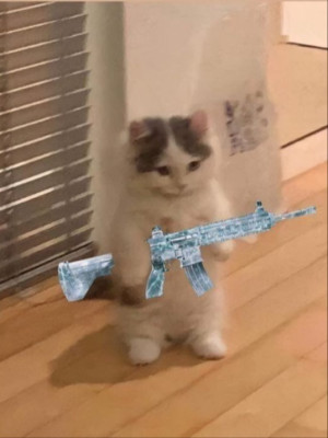 Ф6 и МК ВК все на фулл обвесах