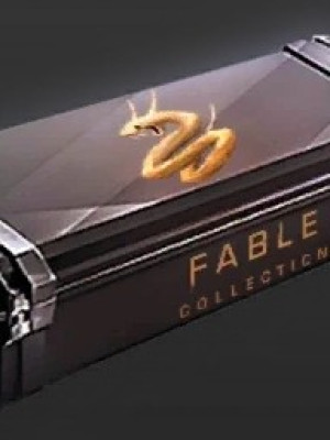 15 FABLE CASE