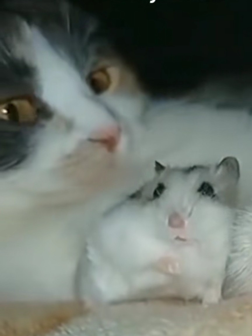 Друг на 30 мин