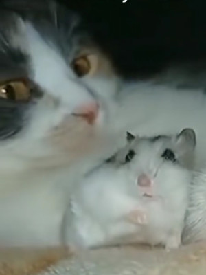 Друг на 30 мин