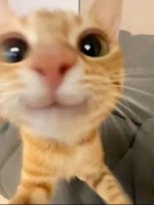 Сыграю с вами турбо (рейтинг могу но я анскилл)