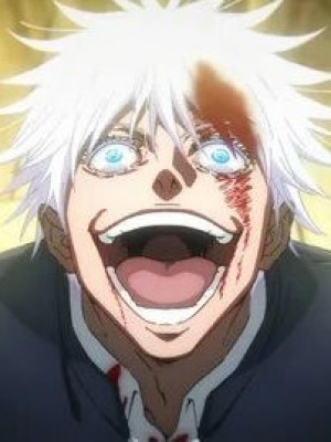 Апну 300 мастери на бом мече, стиле бое, фрукте