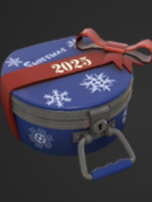 Подарочный кейс 2025