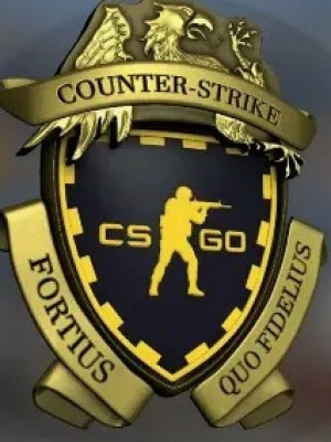 !!!!   prime CS 2   !!!!