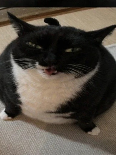 просто на чай