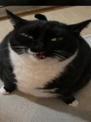 просто на чай