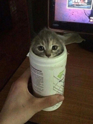 пацаны добрые скиньте на благотворительность