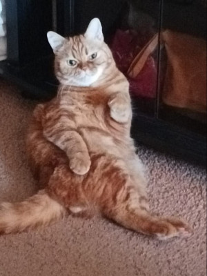 на чай с хлебом