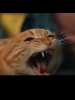 Коплю на ноут скиньте пожалуйста 2 р