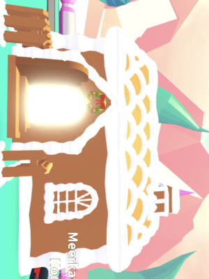 Новогодний не обустроенный дом