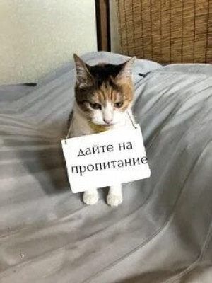 На покушать
