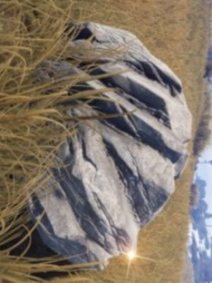 Нафармлю биг ящик камня ( любой сервер )