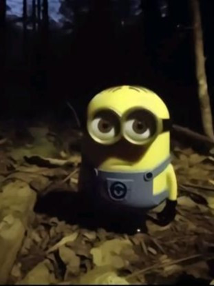 Просто на чай