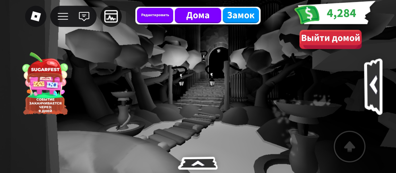 🫧 Трейд домик!!! 🐈⬛