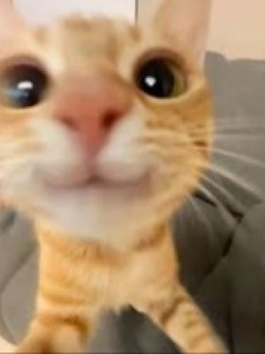 Тренер на час - готов играть во все режимы.