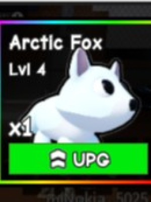 Artic Fox