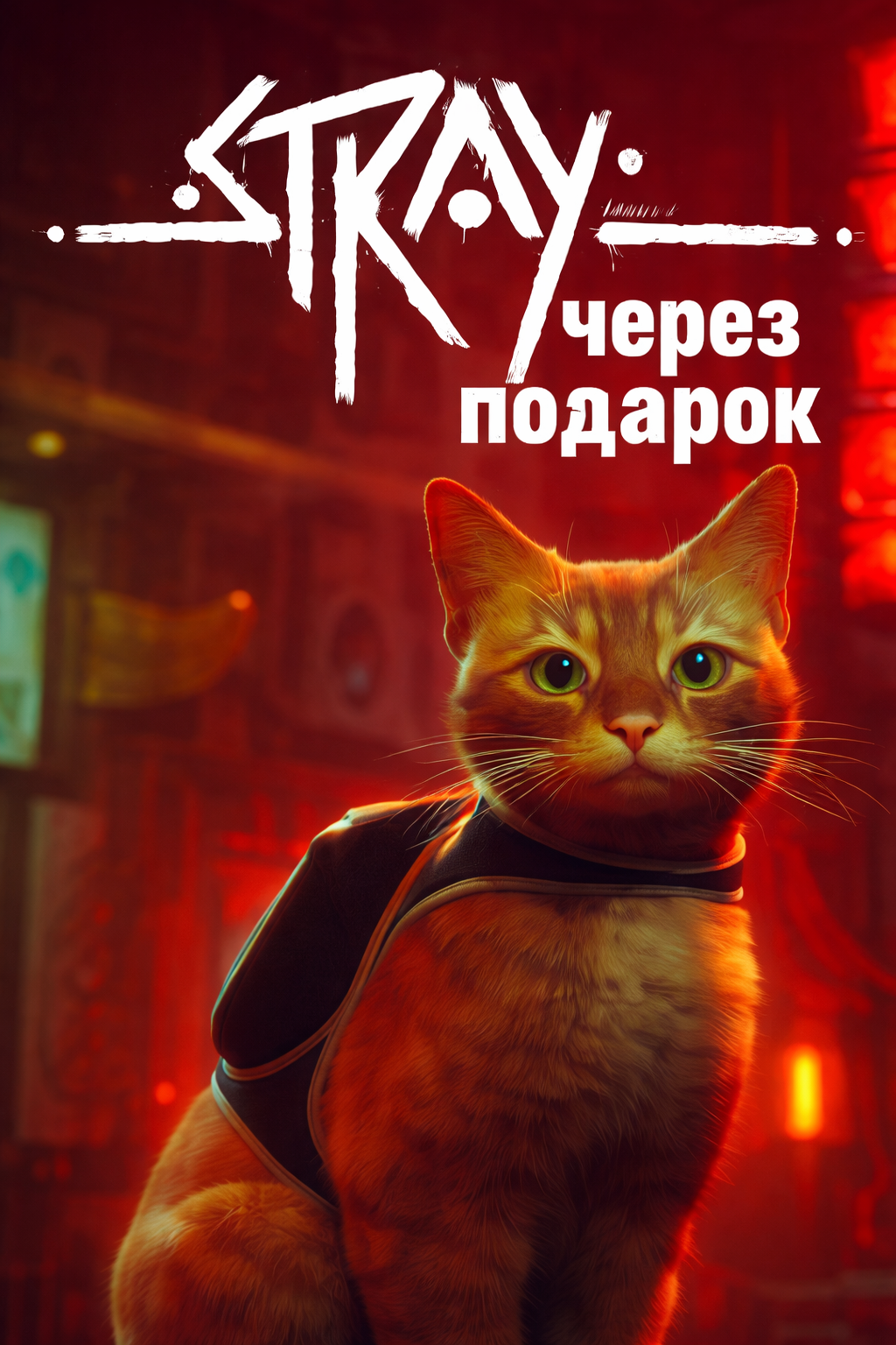 Stray через подарок