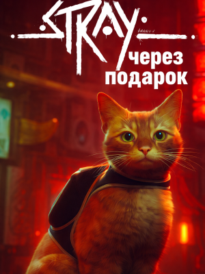 Stray через подарок