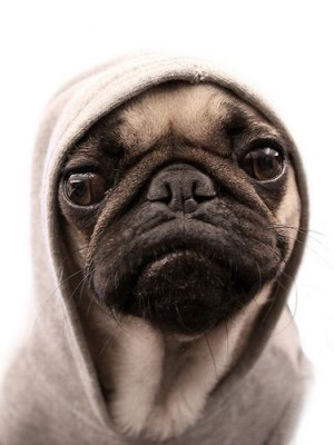 Персональная связь с продавцом / Консультация по заказу/ чаевые