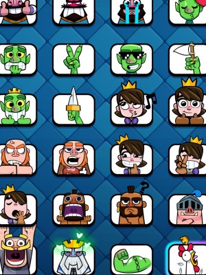 8728 кубков, есть все карты две золотые и 12 с эволюции, 67 эмодзи,  9 видов башни, 63 знамени и 91 рамки 45 лвл