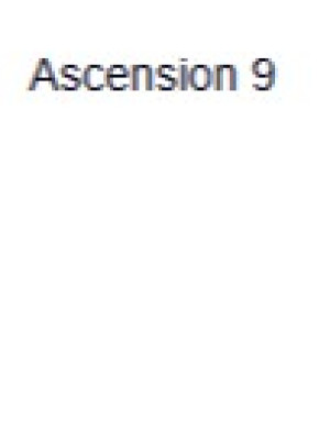 Set items for "Ascension 9" (2x Azure Heart 2x Evolution Fragments)