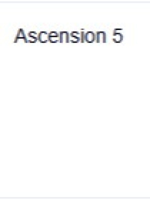 Set items for "Ascension 5" (2x Hog Fragment 2x Atomic Cores)