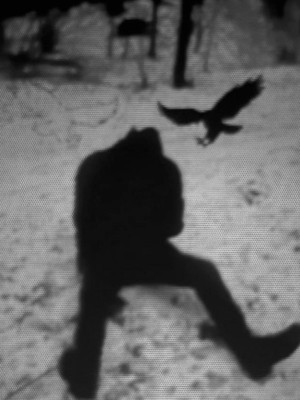 нафармлю сундук камня/дерева