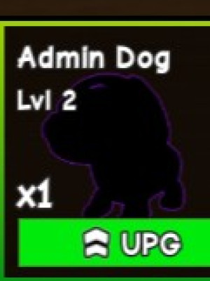 Admin Dog