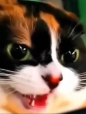 прокачаю лвл  цена за 10 лвл