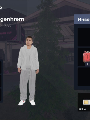 13 лвл, форд мустанг в реварде, вк Телеграм не привязаны