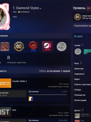 ПРАЙМ В КС2,РАСТ,PayDay 2 + ИНВЕНТАРЬ НА 1400р + БАЛАНС 138р