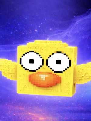 Птичий лаки блок