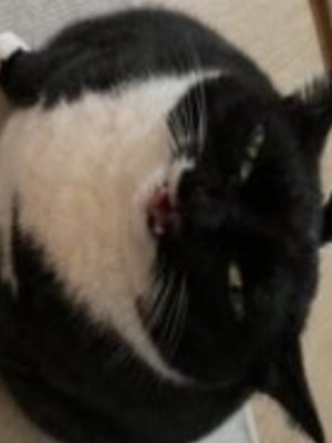 Друн на час