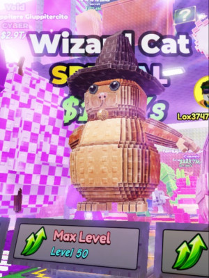 НОВЫЙ Wizard Cat