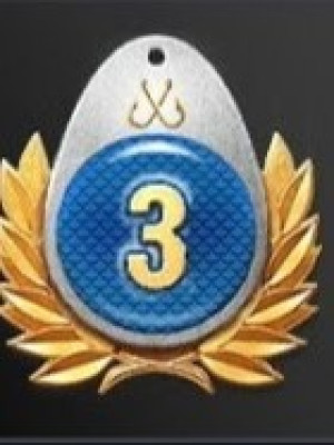 Прем на 3 дня