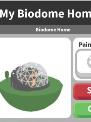 Биодом пустой + банка с печеньем для скорости и музыкальная шкатулка(рабочая)