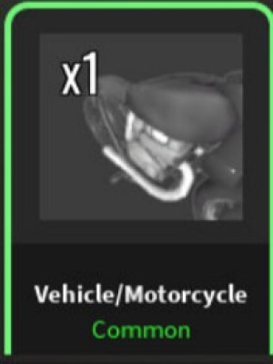 Motorcycle (Vehicle)