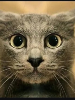 Друг на 3 часа