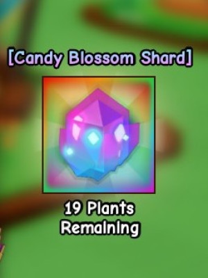 X5💓Candy Blossom Shard🤑