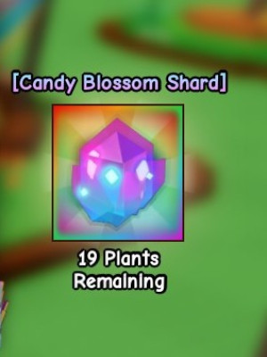 X2💓Candy Blossom Shard🤑 даю фруктами