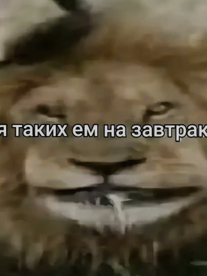 рассказываю шутки