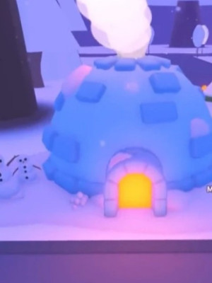 Igloo home