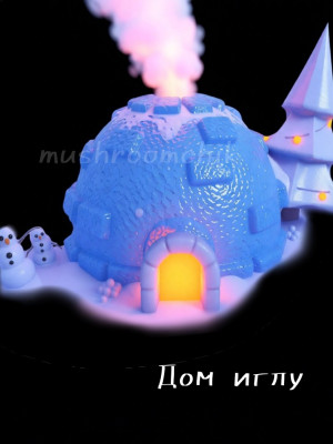 Igloo home